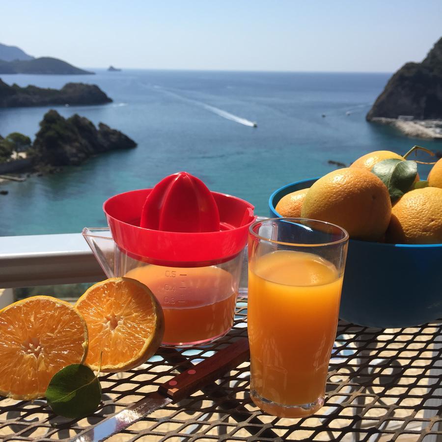 Platakia Blu Apartment Paleokastritsa